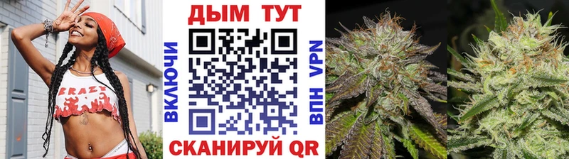 Купить закладки  Чапаевск  МАРИХУАНА марихуана 